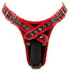 Strap-on g-streng plus 3 aftagelige silikone-dildoer